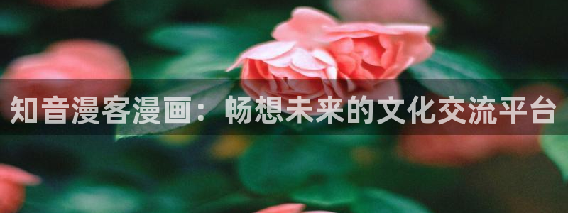 飞飞漫画网